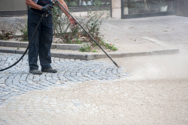 Best Driveway Pressure Washing  in Badger, AK